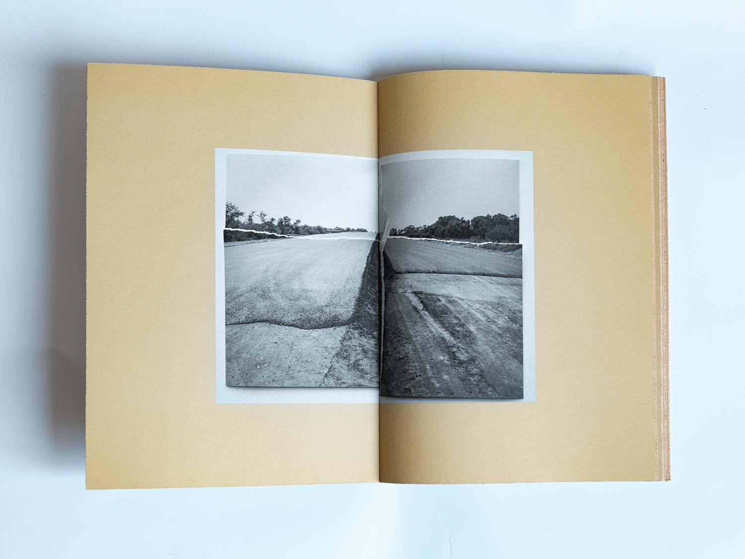 TERRA FERMA - Image 4