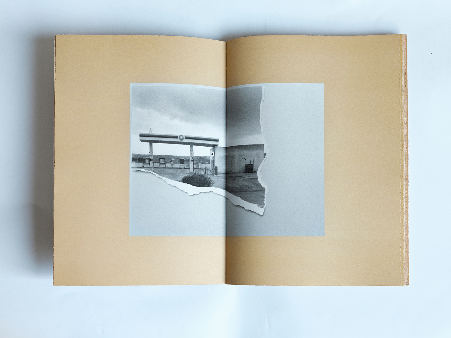 TERRA FERMA - Image 5