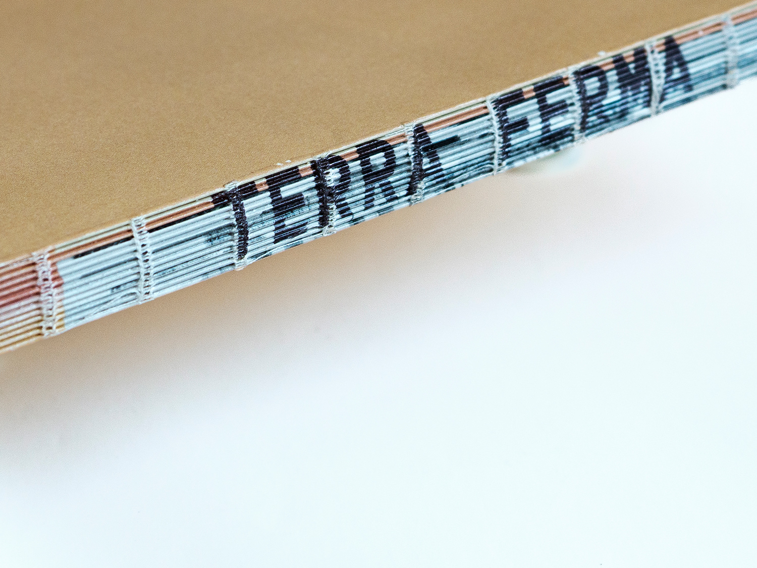 TERRA FERMA - Image 14
